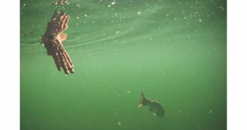 The cover of the fishing trade magazine.