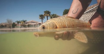 The cover of angling travel magazine.