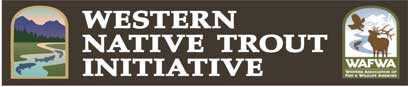 Western native trout initiative logo.