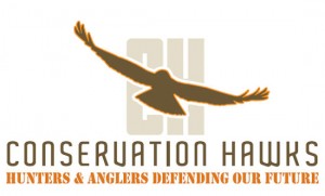 Conservation-Hawks_web