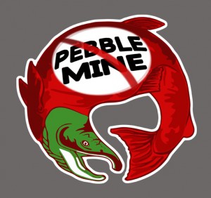 Sockeye No Pebble