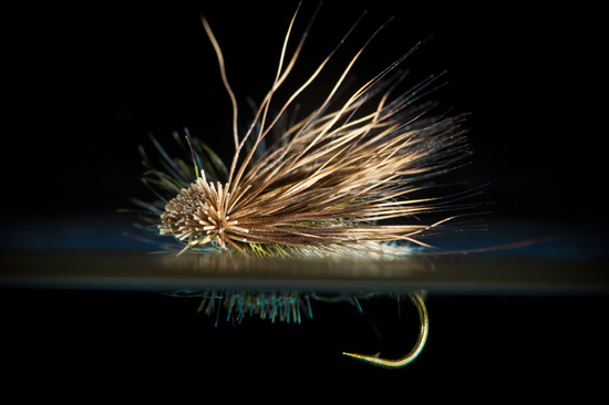 A dry fly on a black background.