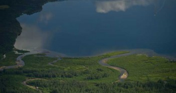 An aerial view of a river and forest.