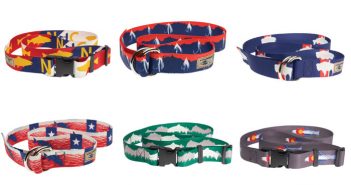 Five different dog collars with different designs.