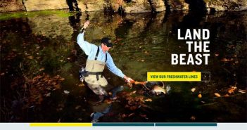 Rio land the beast website design.