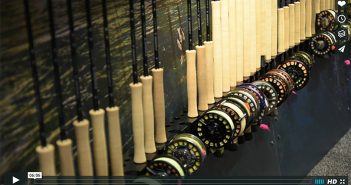 A display of fishing rods and reels on a wall.