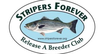 Stripers forever release a breeder club logo.