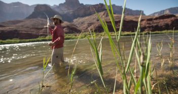 A man wading through a river in front of mountains.