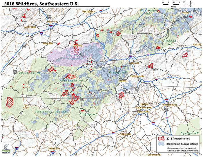 The Southeast fires in early December were in areas overlapping with brook trout habitat.