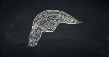 A drawing of a head on a blackboard.