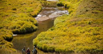 Two people standing next to a stream in a grassy area.