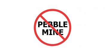 A sign that says pebble mine on a white background.