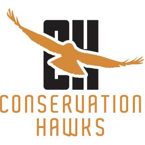 conservation_hawks