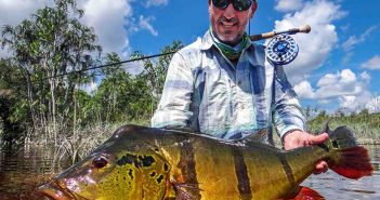 A man holding a large fish in the water.