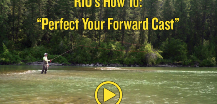 Video: Simon Gawesworth helps you perfect your fly fishing Cast