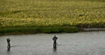 Two men fly fishing in a body of water.