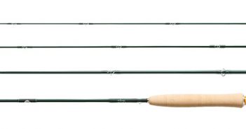 Four different types of fly rods on a white background.