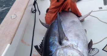 A man on a boat holding a large tuna.