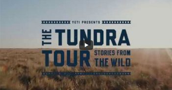 The tundra tour - stories from the wild.