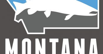 Montana angler logo.