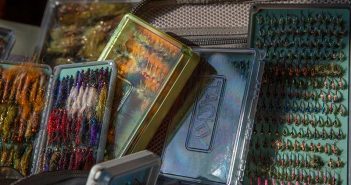 An assortment of fly flies in a case.