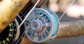 A fly reel attached to a tree branch.