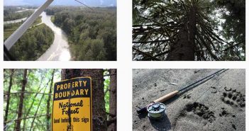 A collage of pictures showing a fishing rod, a tree, and a sign.