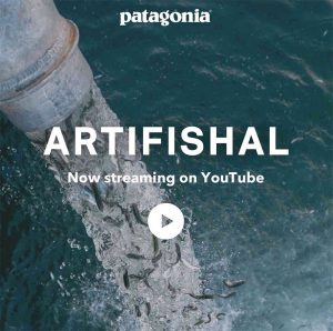 løgner Tragisk tempo Patagonia's Artifishal: Full-length documentary is now online