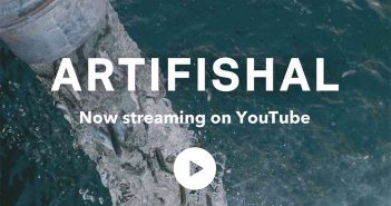 Artifish now streaming on youtube.