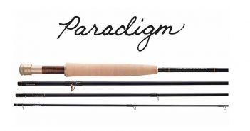 A pair of fly rods with the word paradox on them.