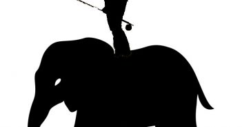 A silhouette of a man standing on top of an elephant.