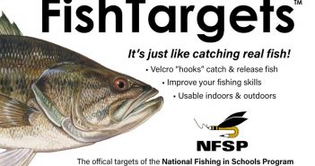 Nsp fish targets poster.