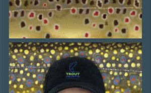 A man is wearing a face mask with different patterns on it.