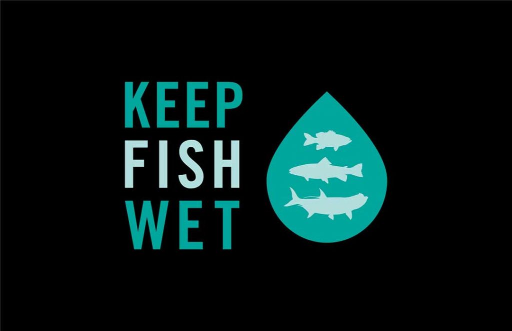Sturen Geboorteplaats Vertrappen Keepemwet is now Keep Fish Wet