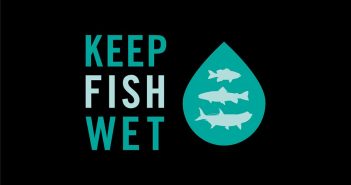 Keep fish wet logo.