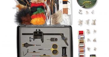 A case with a variety of feathers, a comb, and a cd.