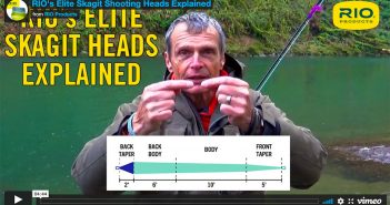 Rio elite skagit heads explained.