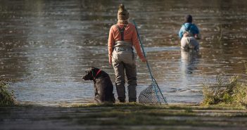 Two people and a dog fishing in a river.