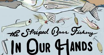 The striped bass fishing in our hands.