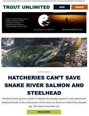 Trout unlimited fly fishing fly fishing fly fishing fly fishing fly fishing fly fishing fly fishing fly fishing fly fishing fly fishing fly fishing fly fishing fly fishing fly.