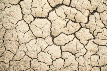 A close up of a cracked dry ground.