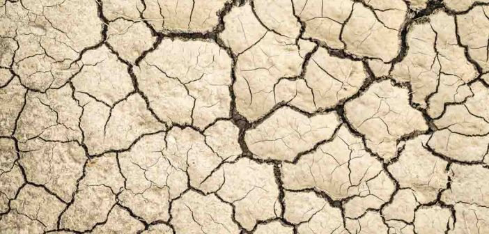 A close up of a cracked dry ground.