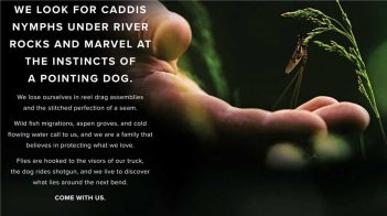 A hand holding a leaf with the words look for caddis and under river rocks and marvellous pointing dog.
