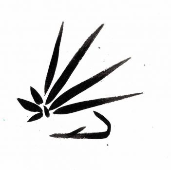 A black and white drawing of a leaf.