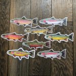 Rainbow trout sticker set.