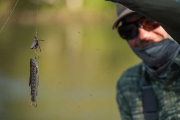A man holding a fish on a fishing line.