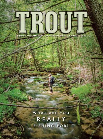 Trout what are you really fishing for.