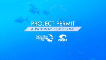 Project permit a pathway for permit.