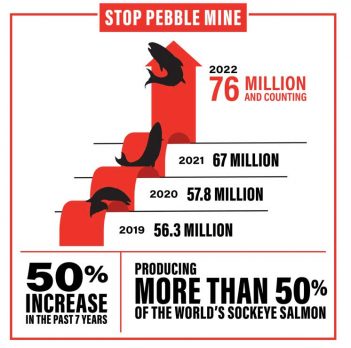 Stop pebble mine infographic.