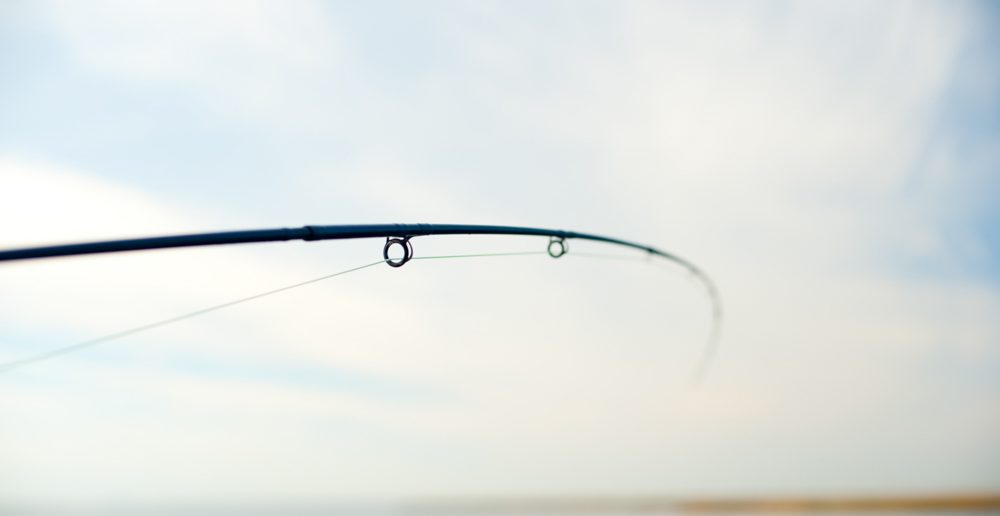 A fishing rod with a blue sky in the background.